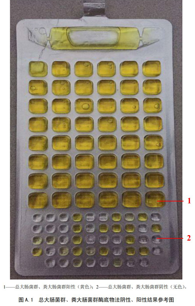 总大肠菌群、粪大肠菌群酶底物法阴性、阳性结果参考图